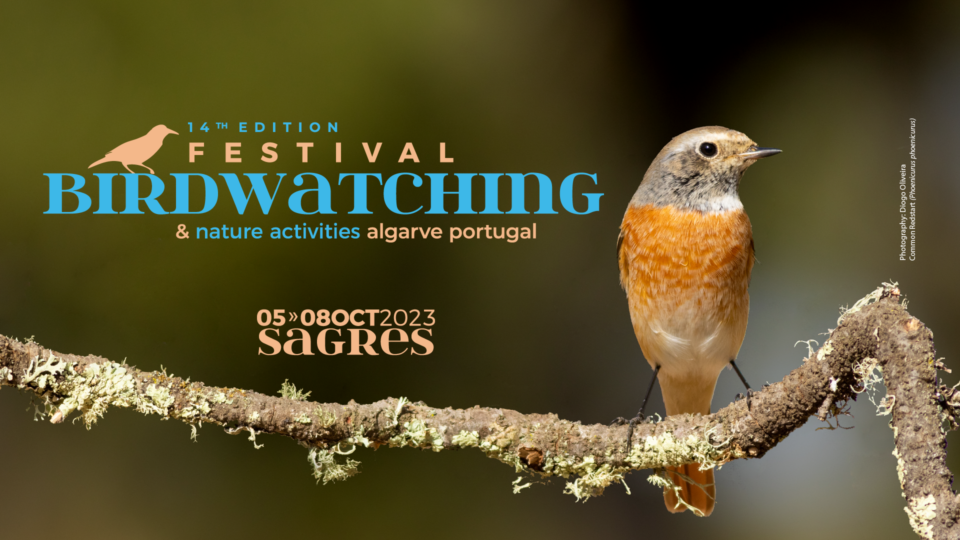 Sagres Birdwatching & Nature Activities Festival